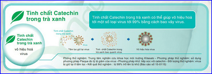 Tinh chất Catechin trong trà xanh – vô hiệu hóa virus